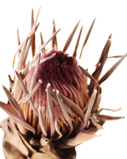 Elegant Purple and White Floral Arrangement - Premium Imported Home and Event Decor Piece