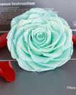 tiffany blue / 9-10cm(1pc)