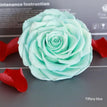 tiffany blue / 9-10cm(1pc)