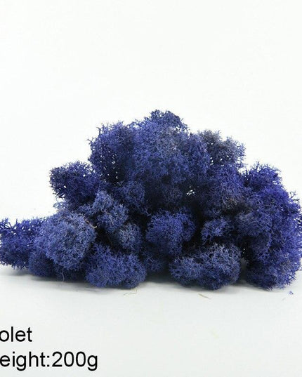 Timeless Greenery Art Creation Kit - Eternal Moss & Custom Grass Mix - 200g