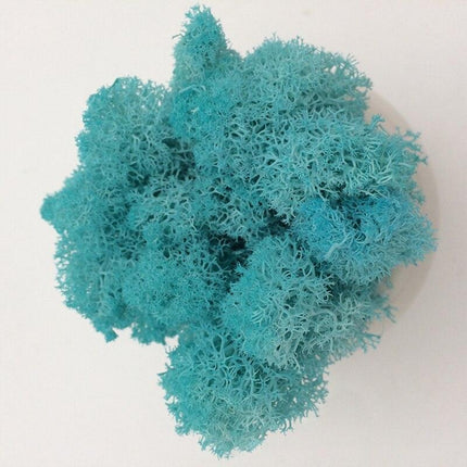 Timeless Elegance Moss Collection: Luxurious Artificial Plants for Upscale Home Decor