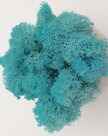 Timeless Elegance Moss Collection: Luxurious Artificial Plants for Upscale Home Decor