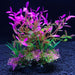 Vivid Aquatic Foliage Collection - Diverse Underwater Landscape for Fish Tank