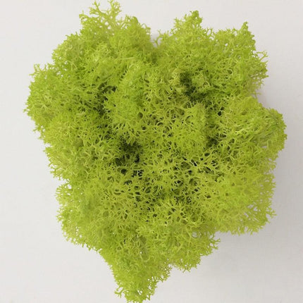 Timeless Elegance Moss Collection: Luxurious Artificial Plants for Upscale Home Decor