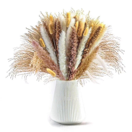 Natural Dried Rabbit Tail Pampas Grass Decorative Bundle - 80 Stems
