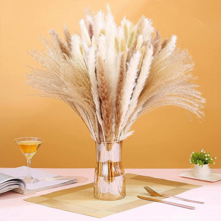 Bohemian Dream Pampas Grass Set - 95/60 Stem Collection