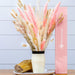 Rustic Charm Natural Pampas Grass Bundle - Ideal for Wedding & Home Decor - 15 Stems
