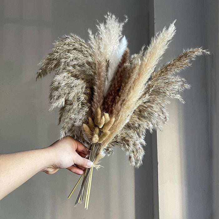 Boho Chic Dried Pampas Grass Flower Arrangement for Modern Home Styling