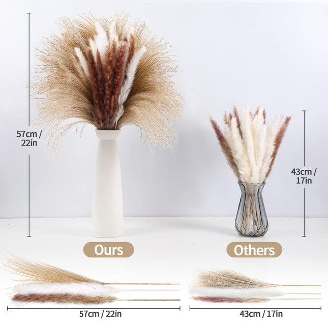 Elegant Dried Pampas Grass Arrangement: Add Rustic Beauty to Your Home Decor