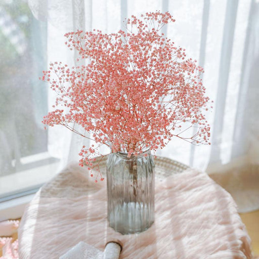 Elegant Babysbreath Rustic Dried Flower Bundle - Versatile Wedding & Home Accent