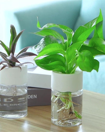 Sleek Transparent Self-Watering Vase: Modern Design for Easy Plant Care and Growth