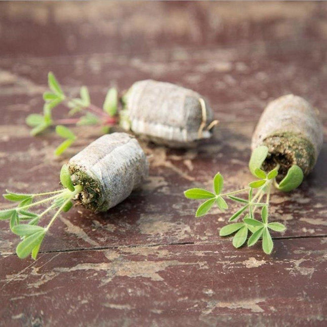 Sustainable Seedling Starter Kit with Biodegradable Peat Blocks for Thriving Gardens