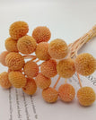 orange / 20pcs