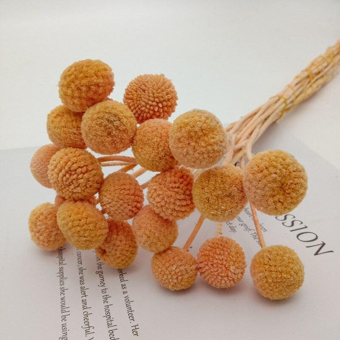 Golden Ball Dried Flowers - Luxurious Set of 20pcs for Elegant Home and Wedding Decor