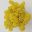 yellow / 100 g