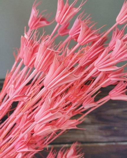 Enchanting Anise Floral Harmony Delights