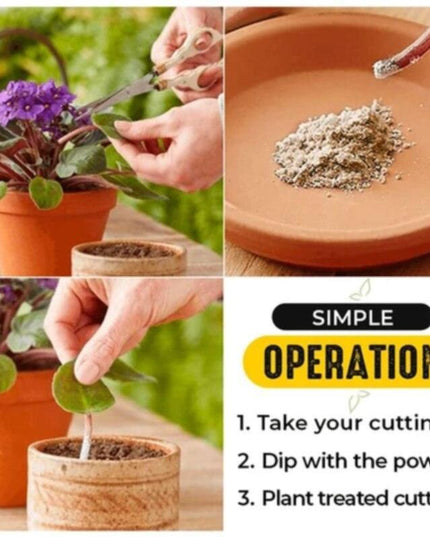 Rapid Root Revolution: Premium Growth Enhancer for Swift Plant Propagation