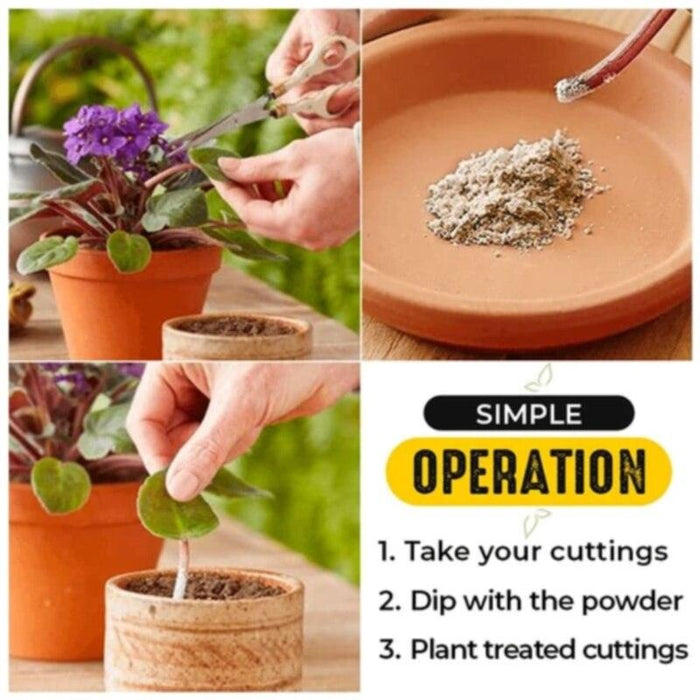 Quick Rooting Powder: Organic Plant Growth Stimulant for Effortless Propagation
