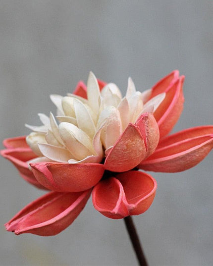Artisanal Lotus Blossom Bouquet: A Rustic Touch for Your Home