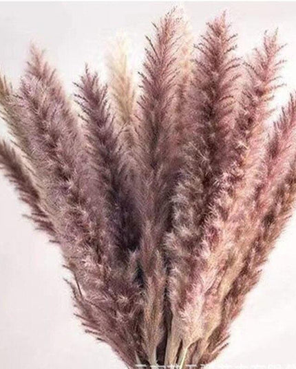 Timeless Elegance - Vibrant Color and White Pampas Grass Bouquet with 15 Stems