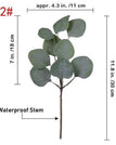 30cm-Eucalyptus / 15pcs