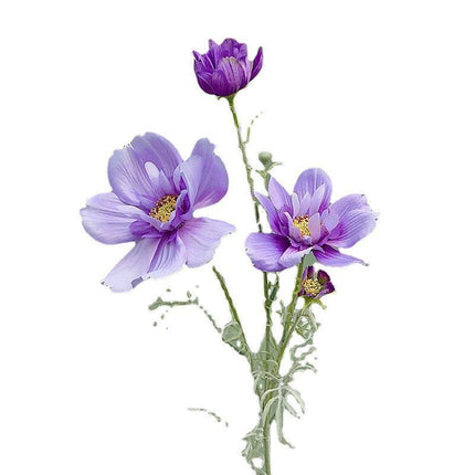 Charming Silk Queen Cosmos Flower Stem: Elegant Gesang Floral Branch
