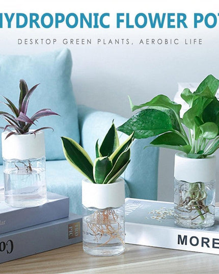 Sleek Transparent Self-Watering Vase: Modern Design for Easy Plant Care and Growth