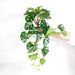 Green Turtle Leaves Artificial Plant: Premium Quality Plastic Foliage for Indoor and Outdoor Decoration