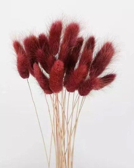 Rustic Boho Bunny Tail Dried Flower Arrangement for Weddings and Home Decor