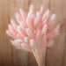 Boho Bunny Tail Dried Flowers Set for Vase Arrangement Wedding Home Decors