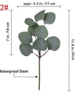 40cm-Eucalyptus / 15pcs