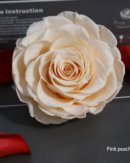 Timeless Grace: Luxurious Preserved Rose Head for Lasting Splendor