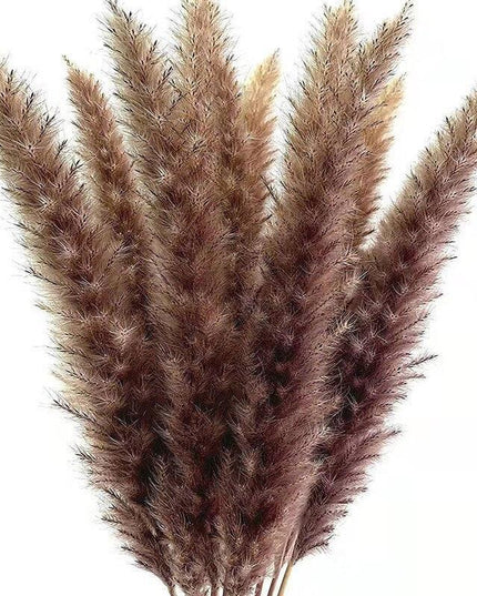 Chic Pampas Grass Home Decor Set - 15 Beautiful Dried Bouquets