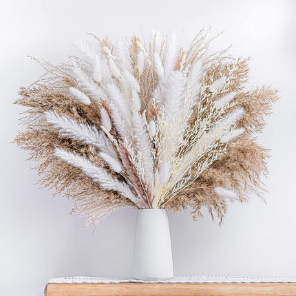 Natural Dried Rabbit Tail Pampas Grass Decorative Bundle - 80 Stems