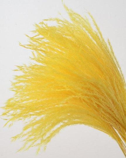 Elegant Dried Floral Arrangement with Pampas Grass - Ideal for Home Decor and Special Occasions