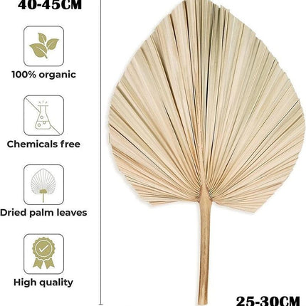 Bohemian Chic: Exquisite Palm Leaf and Pampas Grass Decor for Home and Weddings