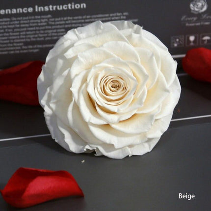 Timeless Grace: Luxurious Preserved Rose Head for Lasting Splendor