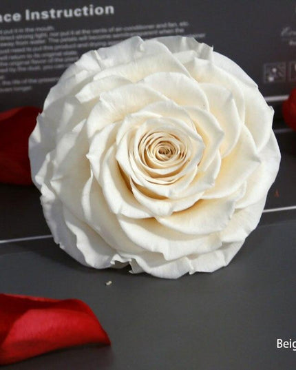 Timeless Grace: Luxurious Preserved Rose Head for Lasting Splendor