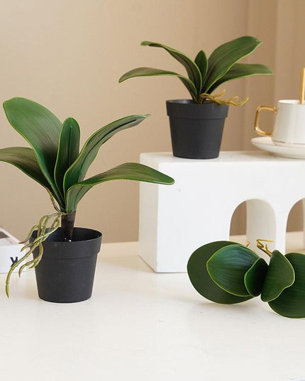 Realistic Orchid Leaf Replicas: High-Quality Latex for Elegant Floral Displays