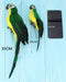 Nature-inspired Simulation Parrot Lawn Ornament - 25cm/35cm