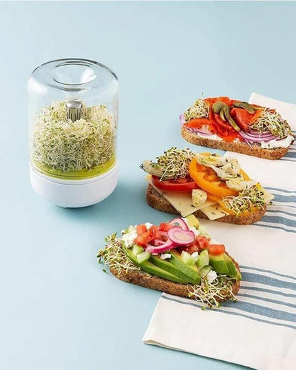 Home Glass Sprouting Kit for Year-Round Freshness