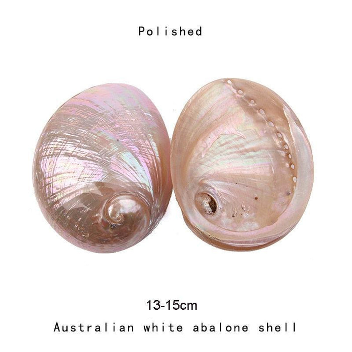 Enchanting Natural Abalone Shell Smudging Kit with Elegant Tripod Stand - 11-13CM