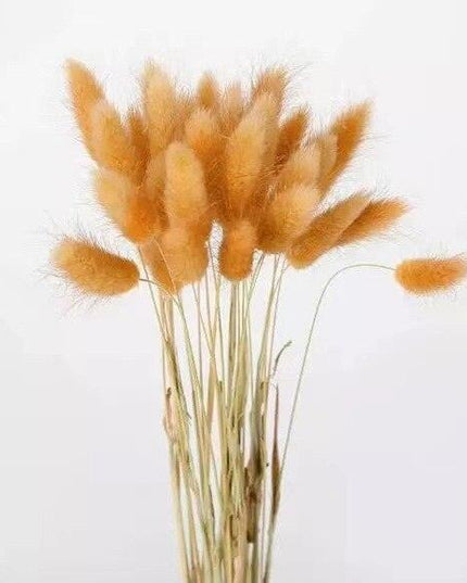 Rustic Boho Bunny Tail Dried Flower Arrangement for Weddings and Home Decor