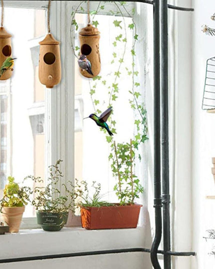 Hummingbird Haven Garden Swing