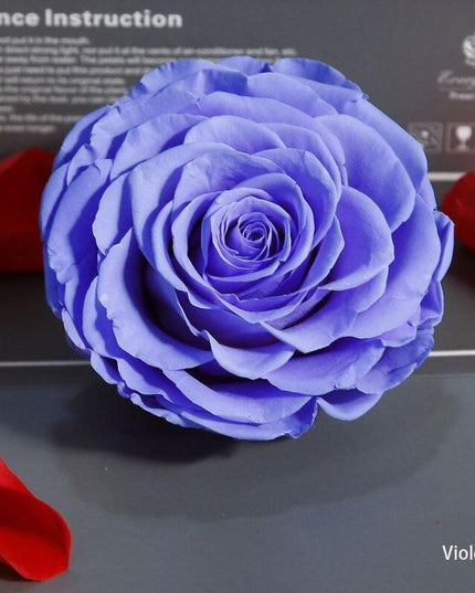 Timeless Grace: Luxurious Preserved Rose Head for Lasting Splendor