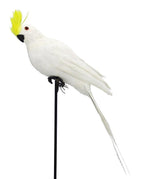 1-white yellow-25cm