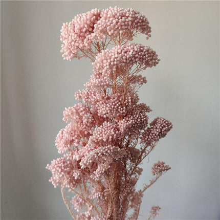 Timeless Treasures: Preserved Millet Flowers for Elegant Wedding Decor