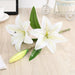 Graceful Lily Bouquet for Various Environments