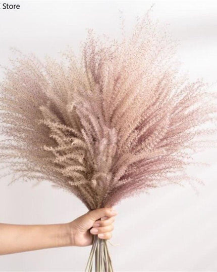 Timeless Elegance Pampas Grass Arrangement: A Chic Addition to Your Home Decor