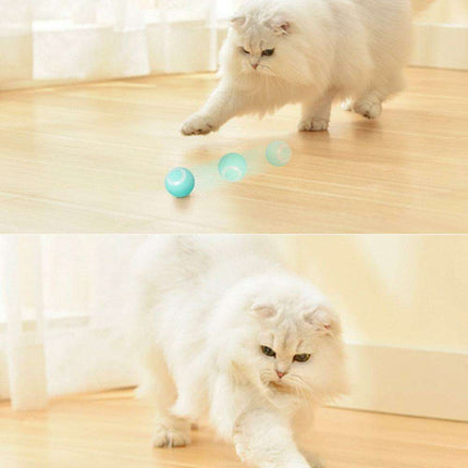 Automated Rolling Ball Cat Toy for Engaging Indoor Fun and Exercise